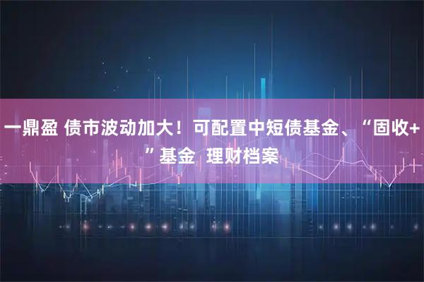 一鼎盈 债市波动加大！可配置中短债基金、“固收+”基金  理财档案