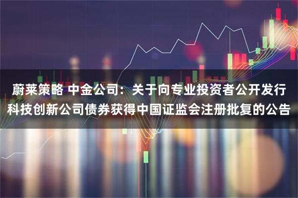蔚莱策略 中金公司：关于向专业投资者公开发行科技创新公司债券获得中国证监会注册批复的公告