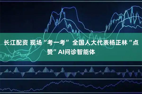 长江配资 现场“考一考” 全国人大代表杨正林“点赞”AI问诊智能体