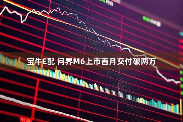 宝牛E配 问界M6上市首月交付破两万