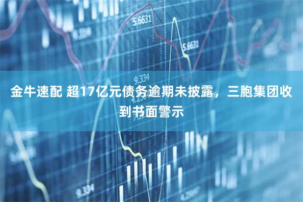 金牛速配 超17亿元债务逾期未披露,三胞集团收到书面警示