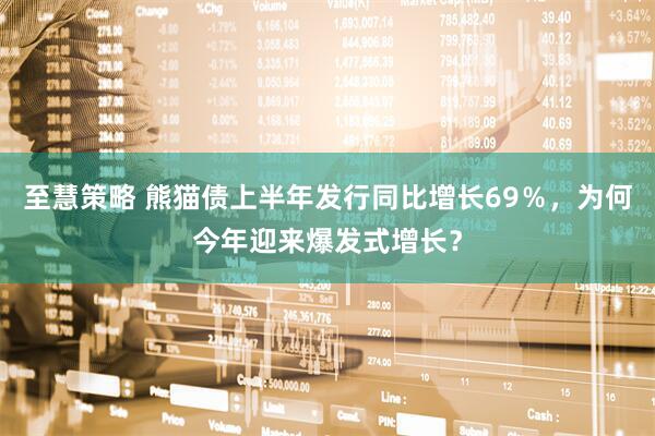 至慧策略 熊猫债上半年发行同比增长69%,为何今年迎来爆发式增长?